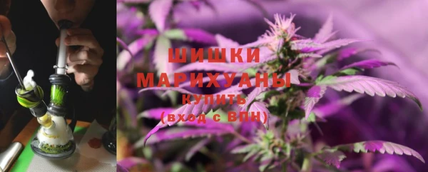молекула духа Медвежьегорск