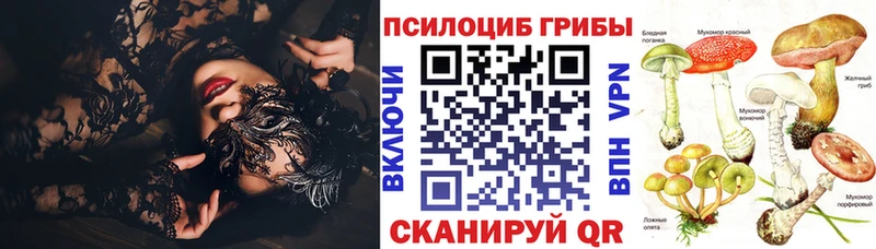 Псилоцибиновые грибы GOLDEN TEACHER  Тогучин 